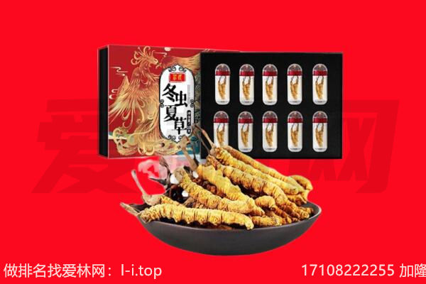 宜春市靖安回收虫草.jpg